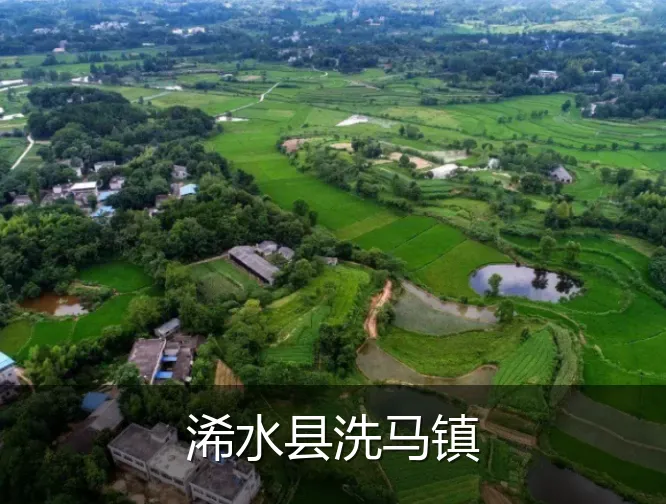 浠水县洗马镇