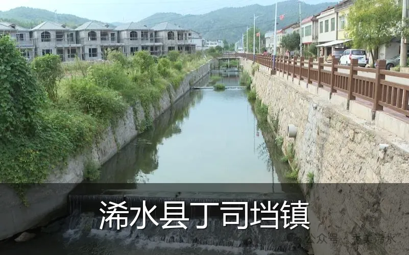 浠水县丁司垱镇