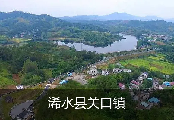 浠水县关口镇