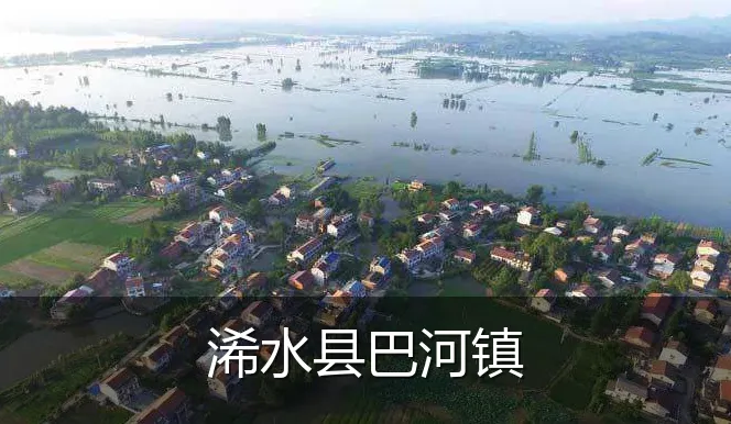 浠水县巴河镇
